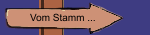 Vom Stamm ...